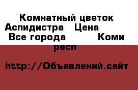 Комнатный цветок Аспидистра › Цена ­ 150 - Все города  »    . Коми респ.